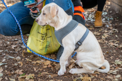 19.11.16_KimberlyMoontower_AnnAlvaWieding-108