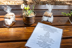 19.11.16_KimberlyMoontower_AnnAlvaWieding-6