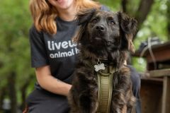 Kimberly-Murphree-New-Hope-Animal-Rescure-20