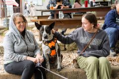 Kimberly-Murphree-New-Hope-Animal-Rescure-64