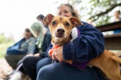 Kimberly-Murphree-New-Hope-Animal-Rescure-7