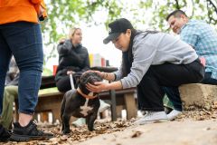 Kimberly-Murphree-New-Hope-Animal-Rescure-70