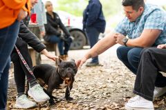 Kimberly-Murphree-New-Hope-Animal-Rescure-72
