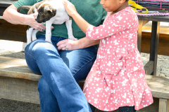New Hope Animal Rescue Fundraiser & Adoption Event
