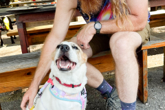 New Hope Animal Rescue Fundraiser & Adoption Event