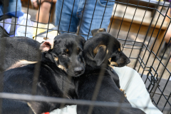 24.04.17_ABGB_Kimberly_NewHope-13