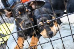 24.04.17_ABGB_Kimberly_NewHope-14