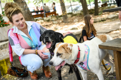 New Hope Animal Rescue Fundraiser & Adoption Event