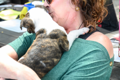 New Hope Animal Rescue Fundraiser & Adoption Event