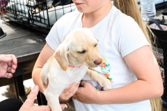 New Hope Animal Rescue Fundraiser & Adoption Event