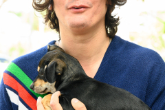 New Hope Animal Rescue Fundraiser & Adoption Event