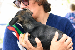 New Hope Animal Rescue Fundraiser & Adoption Event