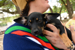 New Hope Animal Rescue Fundraiser & Adoption Event