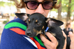 New Hope Animal Rescue Fundraiser & Adoption Event