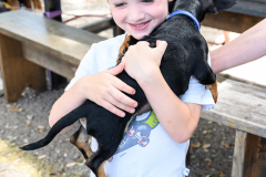 New Hope Animal Rescue Fundraiser & Adoption Event