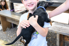 New Hope Animal Rescue Fundraiser & Adoption Event
