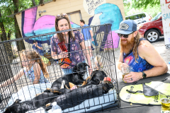 New Hope Animal Rescue Fundraiser & Adoption Event