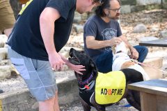 New Hope Animal Rescue Fundraiser & Adoption Event