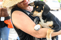 New Hope Animal Rescue Fundraiser & Adoption Event