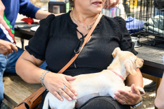 New Hope Animal Rescue Fundraiser & Adoption Event