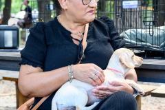 New Hope Animal Rescue Fundraiser & Adoption Event
