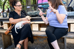 New Hope Animal Rescue Fundraiser & Adoption Event