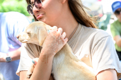 New Hope Animal Rescue Fundraiser & Adoption Event