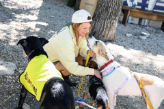 New Hope Animal Rescue Fundraiser & Adoption Event