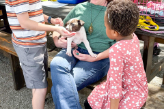 New Hope Animal Rescue Fundraiser & Adoption Event