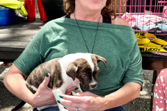 New Hope Animal Rescue Fundraiser & Adoption Event