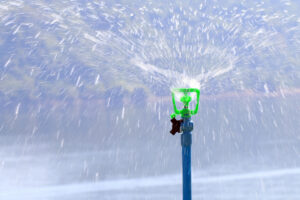 Winterize your sprinklers so they do not cause leaks or cracks. 