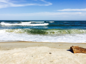 Assateague Island National Seashore