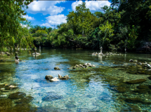 This is an image of Barton Springs.