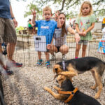 “Austin community supporting Jack Jack’s Pack rescue”