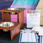 Silent auction supporting Austin animal rescue