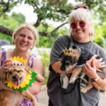 Winners of the fur party pet prom